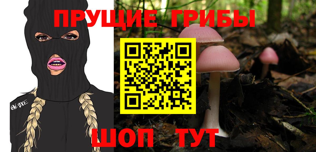 цена   Вход с VPN  Нововоронеж  Галлюциногенные грибы прущие грибы 